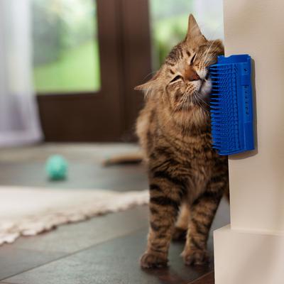 Cat Self Groomer Brush