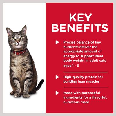 Adult Turkey & Liver Entree Wet Cat Food, 5.5-oz can, case of 24