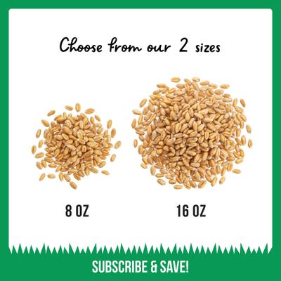 Organic Pet Grass Seed, 8-oz bag