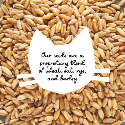 Organic Pet Grass Seed, 8-oz bag