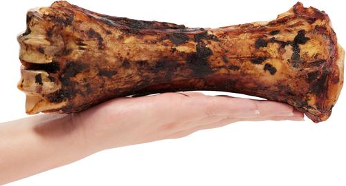 Beef Shank Bone Dog Treat, 1 count