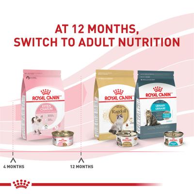 Feline Health Nutrition Kitten Thin Slices in Gravy Wet Cat Food, 3-oz can, case of 24