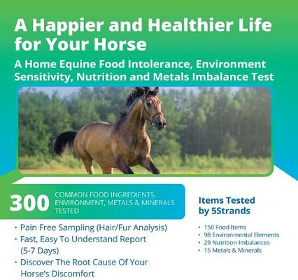 Equine Health Test for Horse