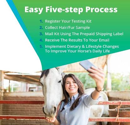 Equine Health Test for Horse