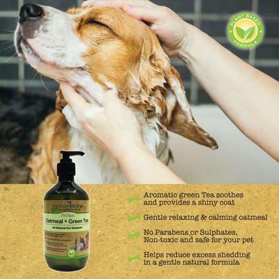 Pet Spa All-Natural Plant-Based Shampoo, Oatmeal & Green Tea, 16.9-fl oz bottle