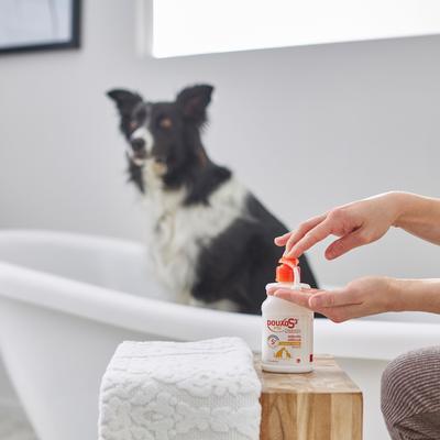 Bundle: Douxo S3 PYO Antiseptic Antifungal Chlorhexidine Dog & Cat Shampoo, 6.7-oz bottle + PYO Antiseptic Antifungal Chlorhexidine Dog Mousse, 5.1-oz bottle
