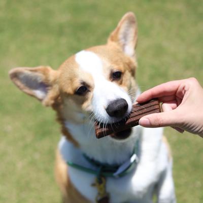 Firm Up! Pumpkin Bars Digestive Aid Dehydrated Dog Treats, 12.6-oz, pack of 6