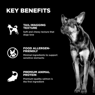 Benefit Chews Sensitivities Benefit Limited Ingredient Salmon Recipe Soft & Chewy Dog Treats, 6-oz bag