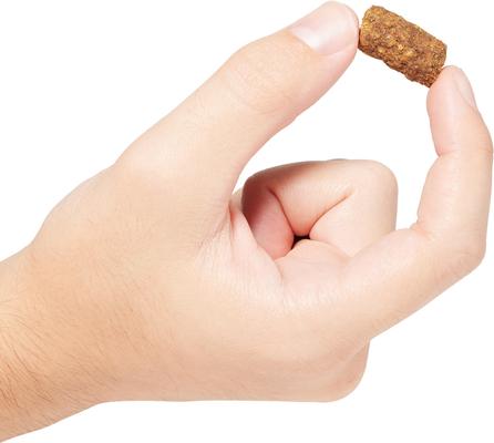 Benefit Chews Digestion + Gut Health Benefit Salmon Recipe Soft & Chewy Dog Treats, 6-oz bag