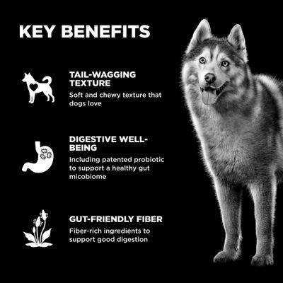 Benefit Chews Digestion + Gut Health Benefit Salmon Recipe Soft & Chewy Dog Treats, 6-oz bag