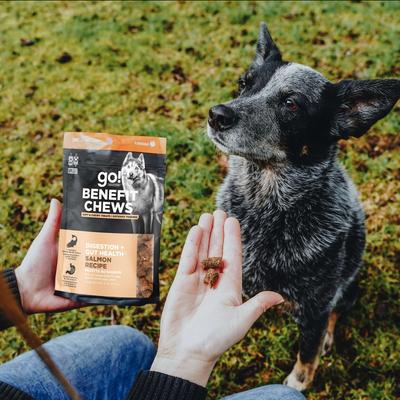 Benefit Chews Digestion + Gut Health Benefit Salmon Recipe Soft & Chewy Dog Treats, 6-oz bag
