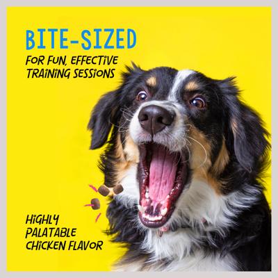 Train-Me! Minis Chicken Flavor Dog Treats, 10-oz bag