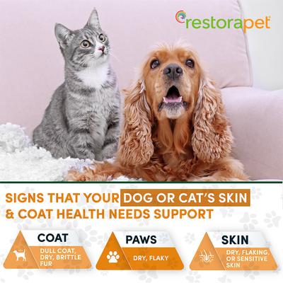 Skin + Coat Support Essentials Wild Alaskan Salon Oil Supplement for Dogs, 16-fl oz bottle