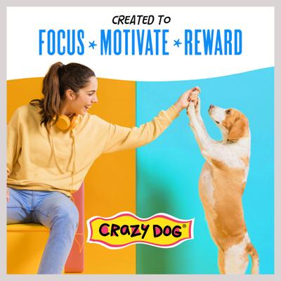 Train-Me! Chicken Flavor Dog Treats, 1-lb bag