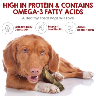 Icelandic Cod Skin Sticks 10-inch Natural Dog Chew Treats, 2 count