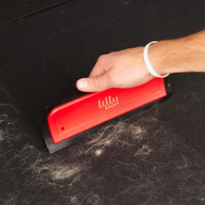 Hair Clean-up Dog & Cat Blade Kit