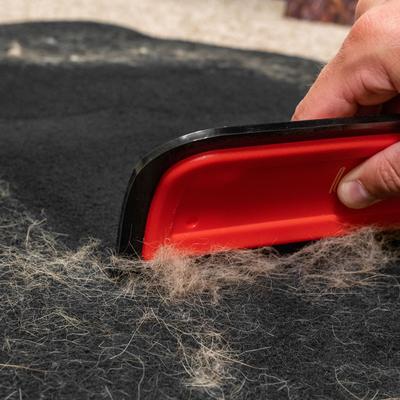 Hair Clean-up Dog & Cat Blade Kit