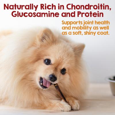 Beef Collagen Sticks 6-inch Natural Dog Chew Treats, 5 count