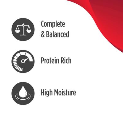 Signature Stews Grain-Free Chicken, Duck & Pumpkin in Broth Wet Dog Food, 6-oz cup, case of 16