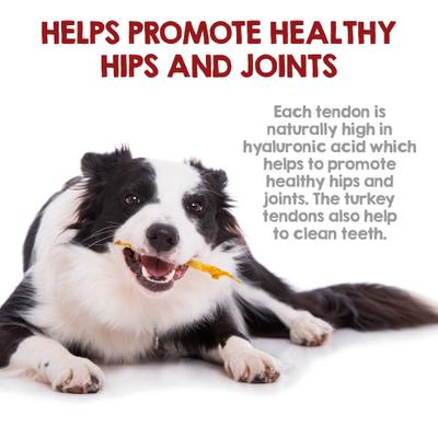 Turkey Tendons Natural Dog Chew Treats, 4-oz bag