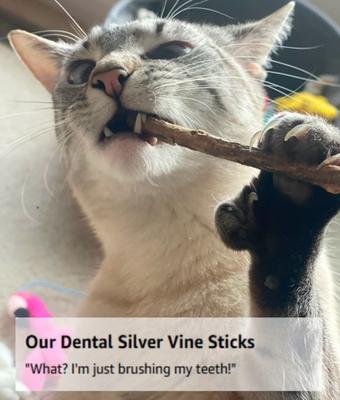 Ultimate Blend Silver Vine Sticks & Catnip