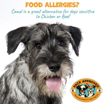 Camel Sticks 6-inch Natural Dog Chew Treats, 4 count