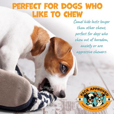 Camel Sticks 6-inch Natural Dog Chew Treats, 4 count