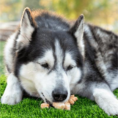 Himalayan Yak Cheese Puffs Dog Treats, 1-lb bag