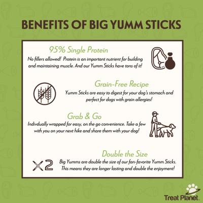 BIG Yumm Sticks Adult Hickory Smoked Pork Human-Grade Jerky Dog Treats, 1.5-oz stick, case of 24