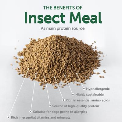 Superior Care Grain-Free Insect Protein Adult Training Dog Treats, 5.29-oz bag