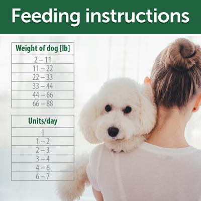 Superior Care Digestive Support White Fish & Rice Adult Dog Treats, 5.29-oz bag