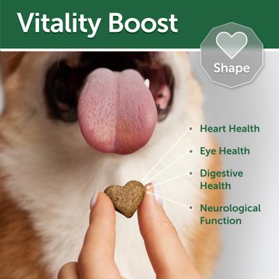 Superior Care Digestive Support White Fish & Rice Adult Dog Treats, 5.29-oz bag