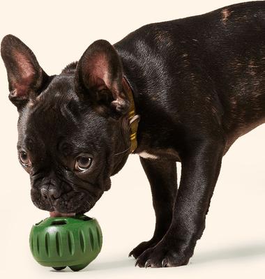 Pupsicle Pops Refills Beef & Peanut Butter Grain-Free Lickable Dog Treats, Large, 7 count