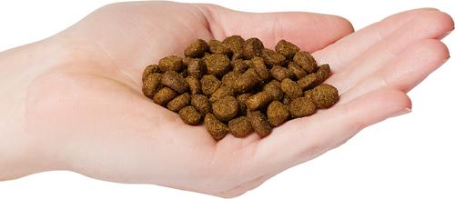 Grain-Free Chicken with Sweet Potato & Pumpkin Recipe Dry Dog Food, 16.5-lb bag