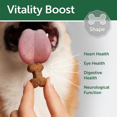 Superior Care Grain-Free Lamb Adult Training Dog Treats, 5.29-oz bag