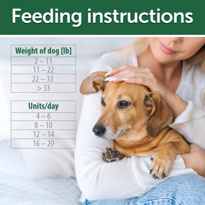 Superior Care Low Calorie Grain-Free Herring Adult Training Dog Treats, 5.29-oz bag