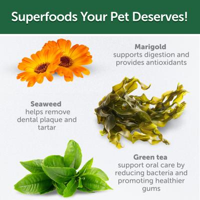 Superior Care Grain-Free Salmon Puppy Dog Treats, 5.29-oz bag