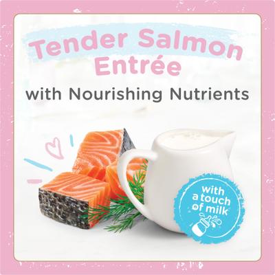 Gourmet Gravy Petites Tender Salmon Pate Wet Kitten Food, 2.8-oz tub, case of 12