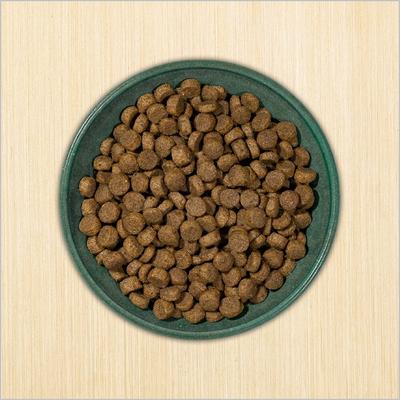 25% Medium & Large Breed Dry Dog Food, 5-lb bag