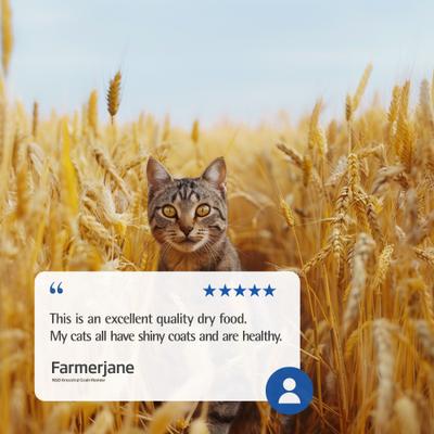 N&D Ancestral Grain Chicken & Pomegranate Recipe Neutered Cat Dry Food, 3.3-lb bag