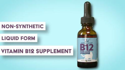 B12 Vitamin Supplement for Adult Cats, 1-fl oz bottle