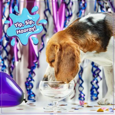 Pup-POP Birthday Water Vanilla Cake Flavor Dog Treat, 15.5-oz can