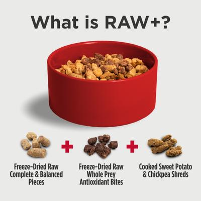 Raw+ Chicken, Whitefish & Salmon Adult Freeze-Dried Dog Food, 9-oz bag