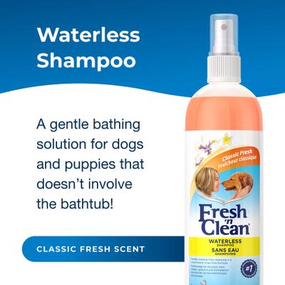 PetAg, Fresh 'n Clean Waterless Shampoo, Aloe Vera, Classic Fresh Scent, 355 ml.