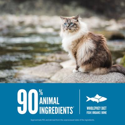 Bundle: ORIJEN Six Fish Dry Food + Freeze-Dried Cat Treats