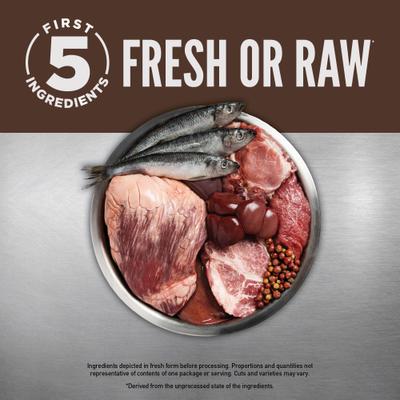 Bundle: ORIJEN Regional Red Entree in Bone Broth Wet Food + Regional Red Dry Cat Food