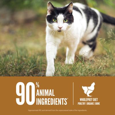 Bundle: ORIJEN Original Dry Food + Original Freeze-Dried Cat Treats