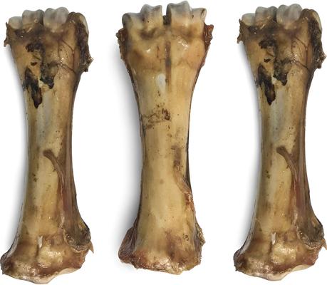 Beef Shin Bone 11-in Dog Treat, 3 count