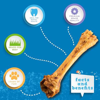 Beef Shin Bone 11-in Dog Treat, 3 count