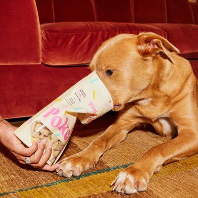 Birthday Cake Biscuit Crunchy Dog Treats, 8-oz bag